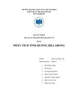 Tiểu luận quản trị kinh doanh quốc tế PHÂN TÍCH TÌNH HUỐNG BILLABONG