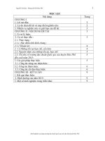 SKKN Kinh nghiệm xây dựng trường đạt chuẩn Quốc gia trên địa bàn huyện