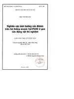 Nghiên cứu ảnh hưởng của aslem trên hệ thống enzim CY   p 450 ở gan động vật thí nghiệm