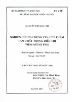 Nghiên cứu tác dụng của chế phẩm tam thất trong điều trị viêm mũi dị ứng