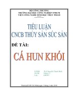 Báo cáo đề tài cá hun khói