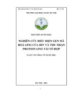 Nghiên cứu biểu hiện gen mã hóa GP41 của HIV và thu nhận protein GP41 tái tổ hợp