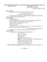 Đề thi chọn học sinh giỏi 2013 Ngữ Văn tỉnh Hải Dương