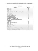 SKKN Công tác Đội với sinh hoạt Sao Nhi đồng ở trường tiểu học Bình Thanh Đông.