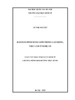 Đảm bảo bình đẳng giới trong lao động việc làm ở tỉnh Nghệ An
