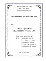 Công nghệ sản xuất maltodextrin từ khoai lang