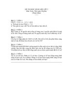 Đề thi học sinh giỏi lớp 5 toán tham khảo