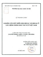 Nghiên cứu đột biến gen BRCA 1 và BRCA 2 ở bệnh nhân ung thư vú ở việt nam