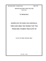 Nghiên cứu tác dụng của carvedilol trên chức năng tâm trương thất trái trong điều trị bệnh tăng huyết áp