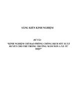 SKKN phòng chống dịch Sốt xuất huyết cho trẻ mầm non