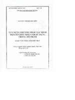 Xây dựng phương pháp xác định một số chất màu cấm sử dụng trong mỹ phẩm