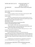 Đề thi thử đại học lần I Ngữ văn 2014 THPT Trần Cao Vân