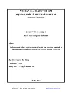 Tuyển chọn, cải biến và nghiên cứu đặc điểm sinh học của chủng xạ khuẩn có khả năng kháng vi khuẩn Pseudomonas aeruginosa phân lập ở Việt Nam