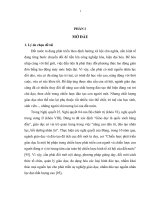 Luận văn thạc sĩ: NGHIÊN CỨU MỘT SỐ CHỈ SỐ SINH HỌC VÀ TRÍ TUỆ CỦA HỌC SINH TRƯỜNG THCS  AN BÌNH VÀ THPT NAM SÁCH II, HUYỆN NAM SÁCH, TỈNH HẢI DƯƠNG
