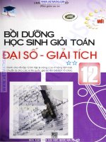 Bồi dưỡng học sinh giỏi toán lớp 12  Môn Đại số và giải tích tập 2