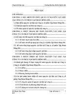 Hoàn thiện kế toán nguyên vật liệu tại Công ty cổ phần Tập Đoàn Đông Đô