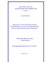 Chọn lọc Full - Sib cải tiến giống ngô nếp địa phương Khẩu Li và Xá Li Lượt trong điều kiện canh tác nhờ nước trời tại SaPa tỉnh Lào Cai