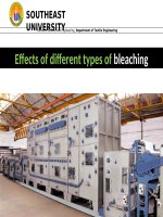 Effects of different types of bleaching