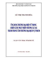 ỨNG DỤNG THƯƠNG MẠI ĐIỆN TỬ TRONG CHIẾN LƯỢC PHÁT TRIỂN THƯƠNG XÁ TAX THÀNH TRUNG TÂM THƯƠNG MẠI-DỊCH VỤ TP.HCM