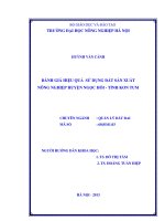 Đánh giá hiệu quả sử dụng đất sản xuất nông nghiệp Huyện Ngọc Hồi, Tỉnh Kon Tum