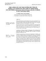 Hàm lượng các chất dinh dưỡng NPK tổng số trong lá và trong đất gieo ươm và trồng rừng cây Sồi phảng (Lithocarpus fissus (Champ.ex Benth) A.camus) ở các tuổi khác nhau