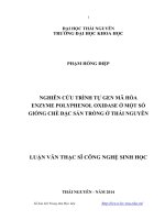 Nghiên cứu trình tự gen mã hóa enzyme polyphenol odidase ở một số giống chè đặc sản trồng ở Thái Nguyên