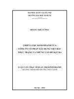 Chiến lược kinh doanh của Công ty Cổ phần xây dựng Việt Bắc - thực trạng và những vấn đề đặt ra