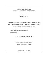 Nghiên cứu các yếu tố về nhận thức có ảnh hưởng đến ý định sử dụng mobile banking của khách hàng cá nhân tại thành phố hồ chí minh, việt nam