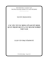 Các yếu tố tác động lên quyết định quản trị rủi ro của các doanh nghiệp việt nam