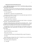 Tổng hợp câu hỏi ôn thi Marketing căn bản có đáp án