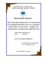 Phân tích hoạt động đầu tư ngoài lĩnh vực kinh doanh nòng cốt của tập đoàn, tổng công ty NN