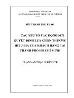 Các yếu tố tác động đến quyết định lựa chọn thương hiệu bia của khách hàng tại thành phố hồ chí minh