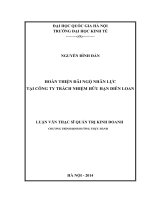 Hoàn thiện đãi ngộ nhân lực tại Công ty Trách nhiệm hữu hạn Diễn Loan