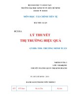 Tiểu luận môn tài chính tiền tệ Lý thuyết thị trường hiệu quả