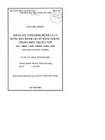Khảo sát tình hình bệnh lý và bước đầu đánh giá sử dụng thuốc trong điều trị suy tim tại bệnh viện TW huế (giai đoạn 01 2004   05 2006)