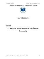 Lý thuyết trật tự phân hạng và cấu trúc vốn doanh nghiệp