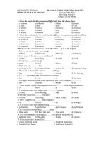 Đề Giao lưu học sinh giỏi cấp Huyện môn Tiếng Anh 8 Năm học 2008-2009