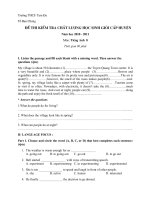 Đề thi kiểm tra Chất lượng học sinh giỏi cấp huyện Môn Tiếng Anh 8 - Năm học 2010-2011