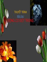 Thuyết trình môn học động cơ đốt trong