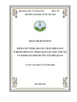 Khảo sát nồng độ các chất điện giải ở bệnh nhân suy thận mạn lọc máu chu kỳ và đánh giá một số yếu tố liên quan