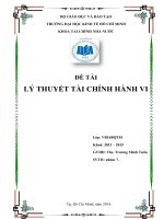 Tiểu luận Lý thuyết hành vi tài chính