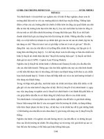 Tiểu luận môn tài chính tiền tệ Lý thuyết tài chính hành vi