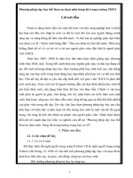 SKKN Phương pháp dạy học thể thao tự chọn môn bóng đá trong trường THCS