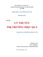 Tiểu luận LÝ THUYẾT THỊ TRƯỜNG HIỆU QUẢ