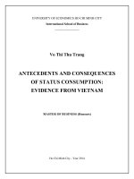 Antecedents and consequences of status consumption