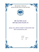 Tiểu luận môn kinh tế quốc tế AFTA, NHỮNG CƠ HỘI VÀ THÁCH THỨC KHI VIỆT NAM THAM GIA AFTA