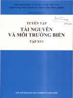 Hiện trạng thảm cỏ biển Cửa Đại - Hội An, Quảng Nam