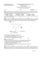 Đề kiểm tra chất lượng khối 12 lần 3 môn học 2014-2015 môn Sinh học