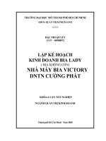 Lập kế hoạch kinh doanh bia Lady (bia không cồn) nhà máy bia Victory DNTN Cường Phát
