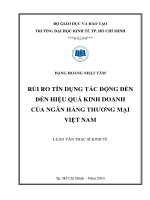 Luận văn thạc sĩ 2014 Rủi ro tín dụng tác động đến hiệu quả kinh doanh của Ngân hàng thương mại Việt Nam